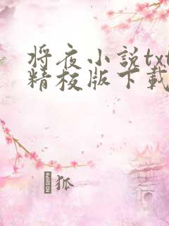 将夜小说txt精校版下载