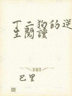 丁二狗的逆袭人生阅读