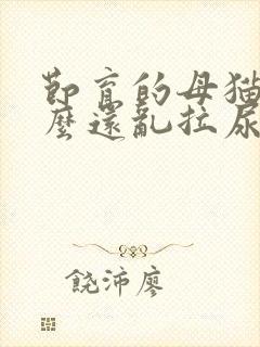 节育的母猫为什么还乱拉尿