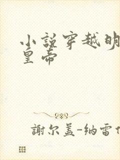 小说穿越明朝当皇帝