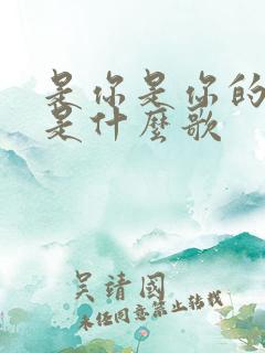 是你是你的歌词是什么歌