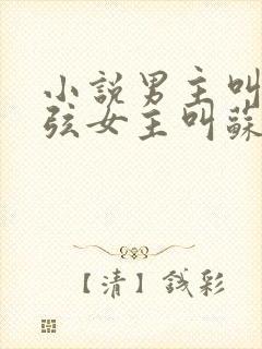 小说男主叫顾北弦女主叫苏o