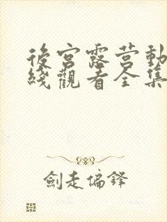 后宫露营动漫在线观看全集完整版