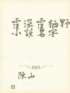 霍深霍栖野夏稚小说名字