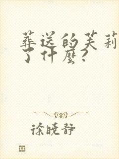 葬送的芙莉莲讲了什么?