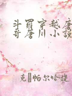 斗罗穿越唐三亲哥唐川小说