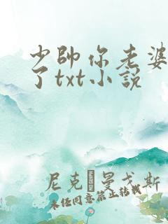 少帅你老婆又跑了txt小说