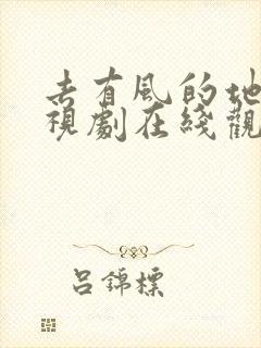 去有风的地方电视剧在线观看完整版