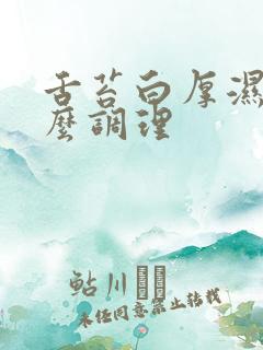 舌苔白厚湿热怎么调理