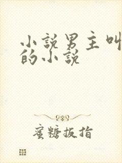 小说男主叫楚风的小说