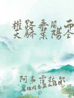 权路乘风而起化天骄叶阳全文阅读