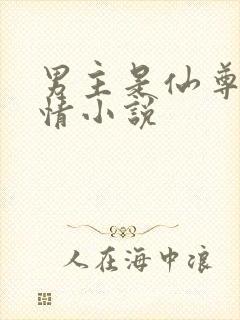 男主是仙尊的言情小说