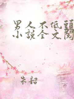 男人不低头淑颖小说全文阅读