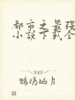 都市之最强狂兵小说下载全文