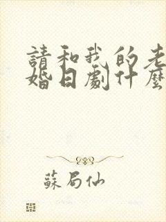 请和我的老公结婚日剧什么时候更新