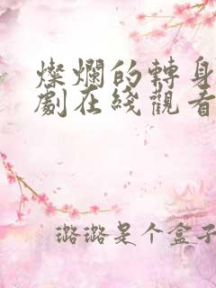 灿烂的转身电视剧在线观看全集免费