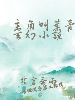 主角叫叶青玄的玄幻小说