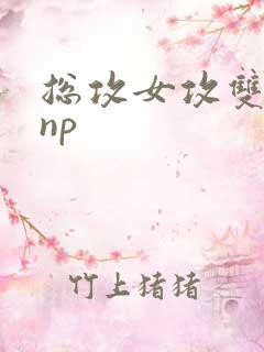 总攻女攻双性受np
