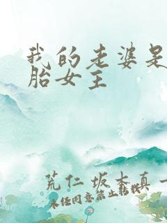 我的老婆是双胞胎女主