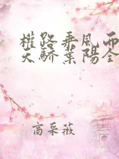 权路乘风而起化天骄叶阳全文阅读