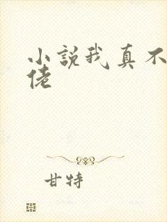 小说我真不是大佬
