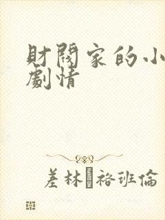 财阀家的小儿子剧情