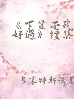 《下辈子我再好好过》续集