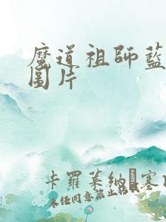 魔道祖师蓝忘机图片