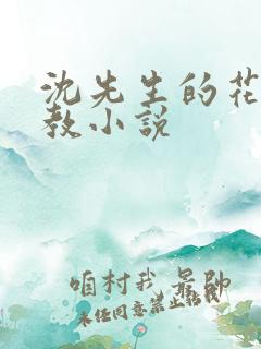 沈先生的花式调教小说