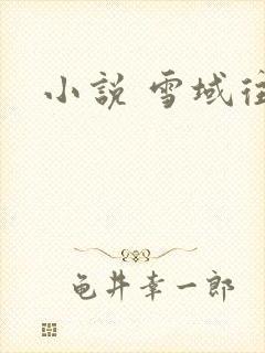 小说 雪域往事
