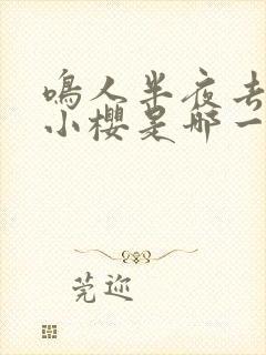 鸣人半夜去拜访小樱是哪一集