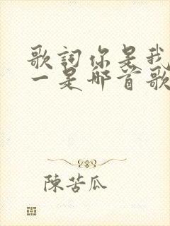 歌词你是我的唯一是哪首歌的歌词