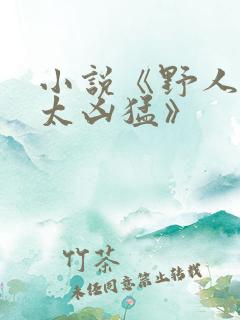 小说《野人老公太凶猛》