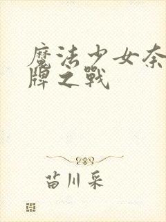 魔法少女奈叶王牌之战