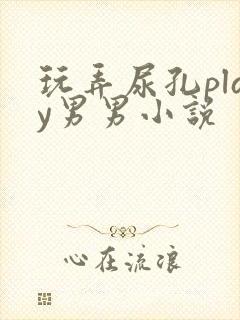 玩弄尿孔play男男小说