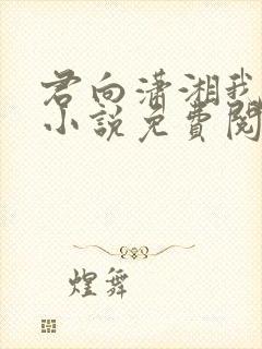 君向潇湘我向秦小说免费阅读