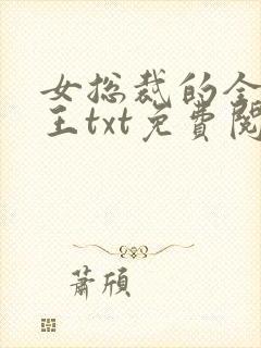 女总裁的全能兵王txt免费阅读