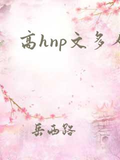高hnp文多人