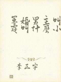 军婚男主叫陆战霆叫什么小说