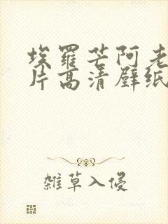 埃罗芒阿老师图片高清壁纸