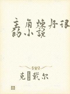 主角炼丹很厉害的小说