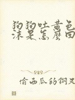 狗狗吐黄色的泡沫是怎么回事