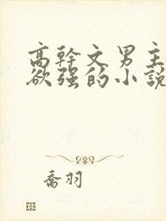 高干文男主占有欲强的小说