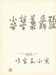 小说叶辰孙怡夏若雪最新版