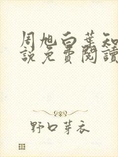 周旭白叶知韵小说免费阅读最新章节