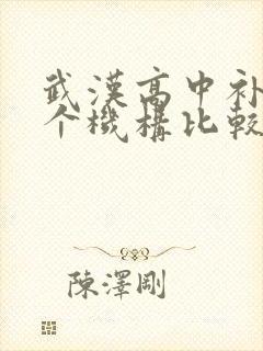 武汉高中补课哪个机构比较好