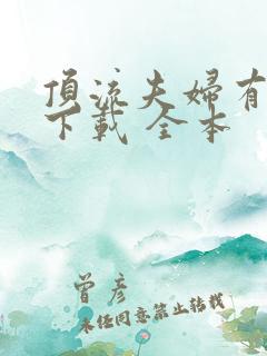 顶流夫妇有点甜下载 全本