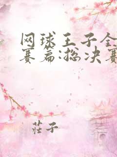 网球王子全国大赛篇:总决赛