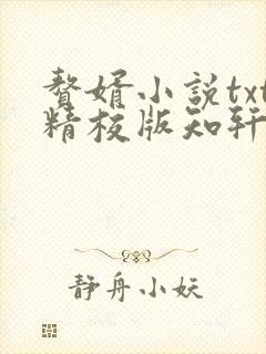 赘婿小说txt精校版知轩