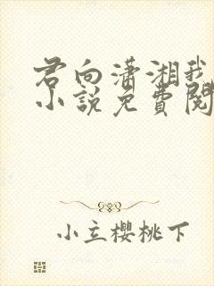 君向潇湘我向秦小说免费阅读